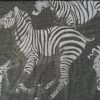 Pashmina de animales
