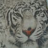 Pashmina de animales