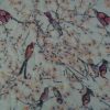 Pashmina de animales