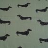 Pashmina de animales