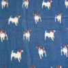 Pashmina de animales