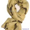 Pashmina Perro salchicha