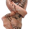 Pashmina cebra