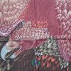 Nueva pashmina de Águila bufanda amplia - Image 5