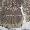 Nueva pashmina de Águila bufanda amplia - Image 4