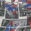 Pashmina Spiderman