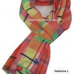 Pashmina multi color
