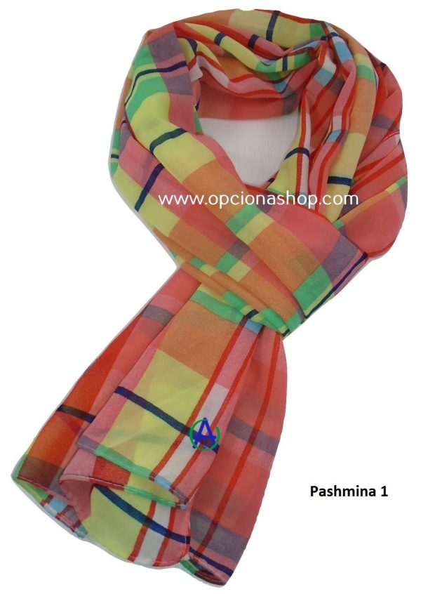 Pashmina multi color