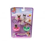 6 gatitos en mi bolsillo