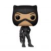 Selina Kyle Funko Pop