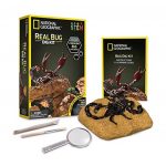 Real Bug Dig Kit National Geographic