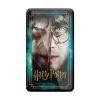 Domino Tin Harry Potter