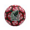 Balón Selección Méxicana